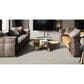 Fabrica Tribute Carpet in Canberra, , large