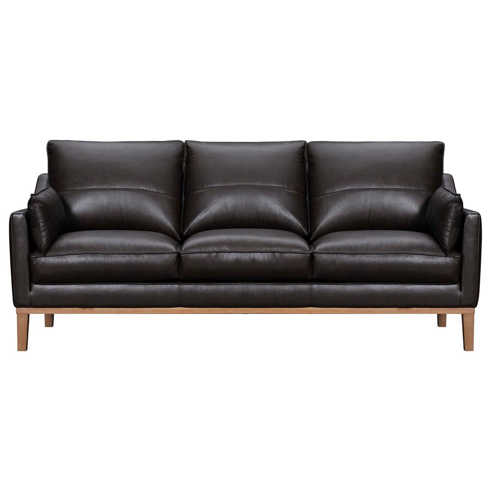 Blue River Pompeii Stationary Sofa in Dark Brown, , large