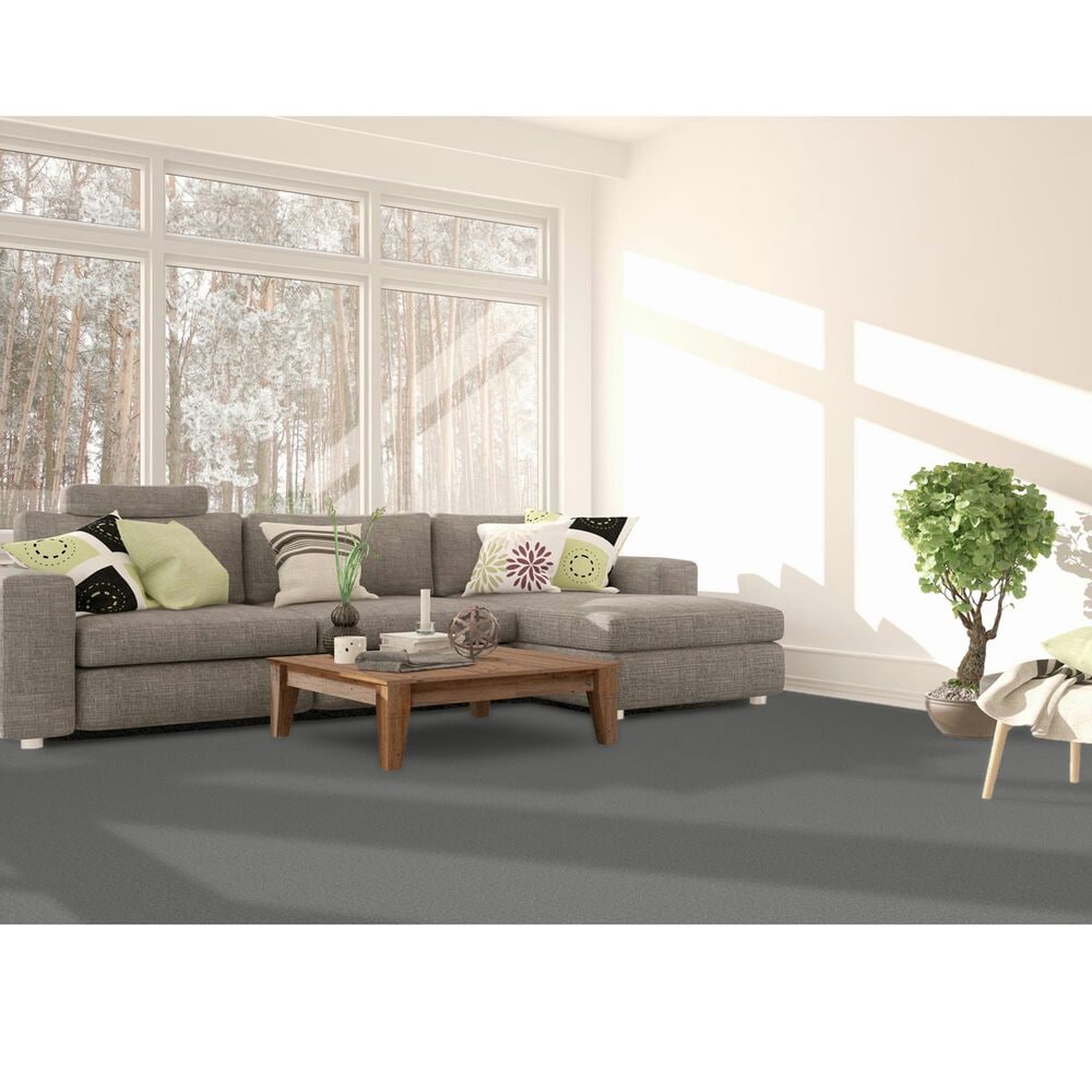 Dream Weaver East Hampton 2550 Carpet in Pewter, , large