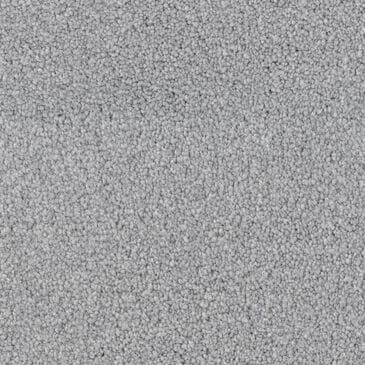 Dixie Home Big Splash Carpet in Seagull, , large