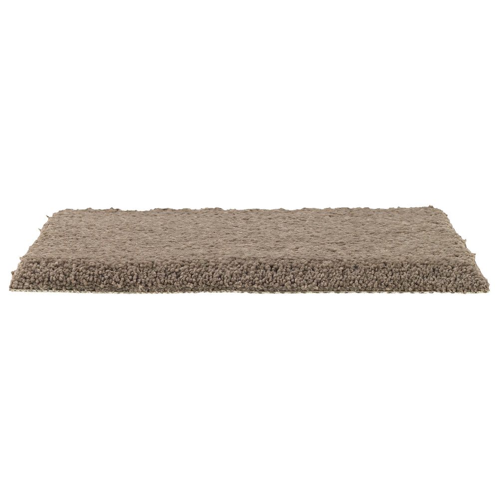 Mohawk Windsor Gardens II Carpet in Rich Earth, , large