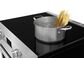 Frigidaire Professional 30 Induction Electric Range, , large