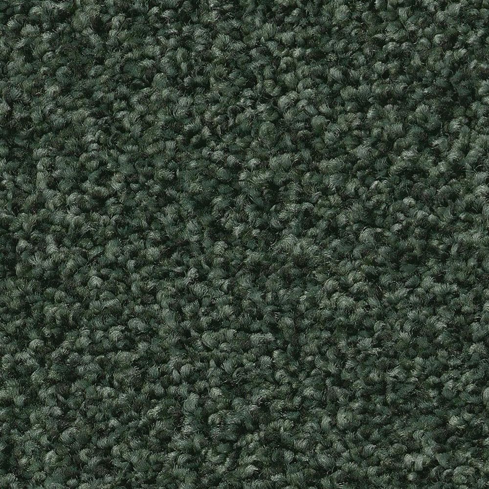 Shaw Tonal Comfort I Carpet in Magnolia Branch, , large