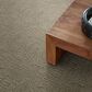 Anderson Tuftex Diego Carpet in Sandlot, , large