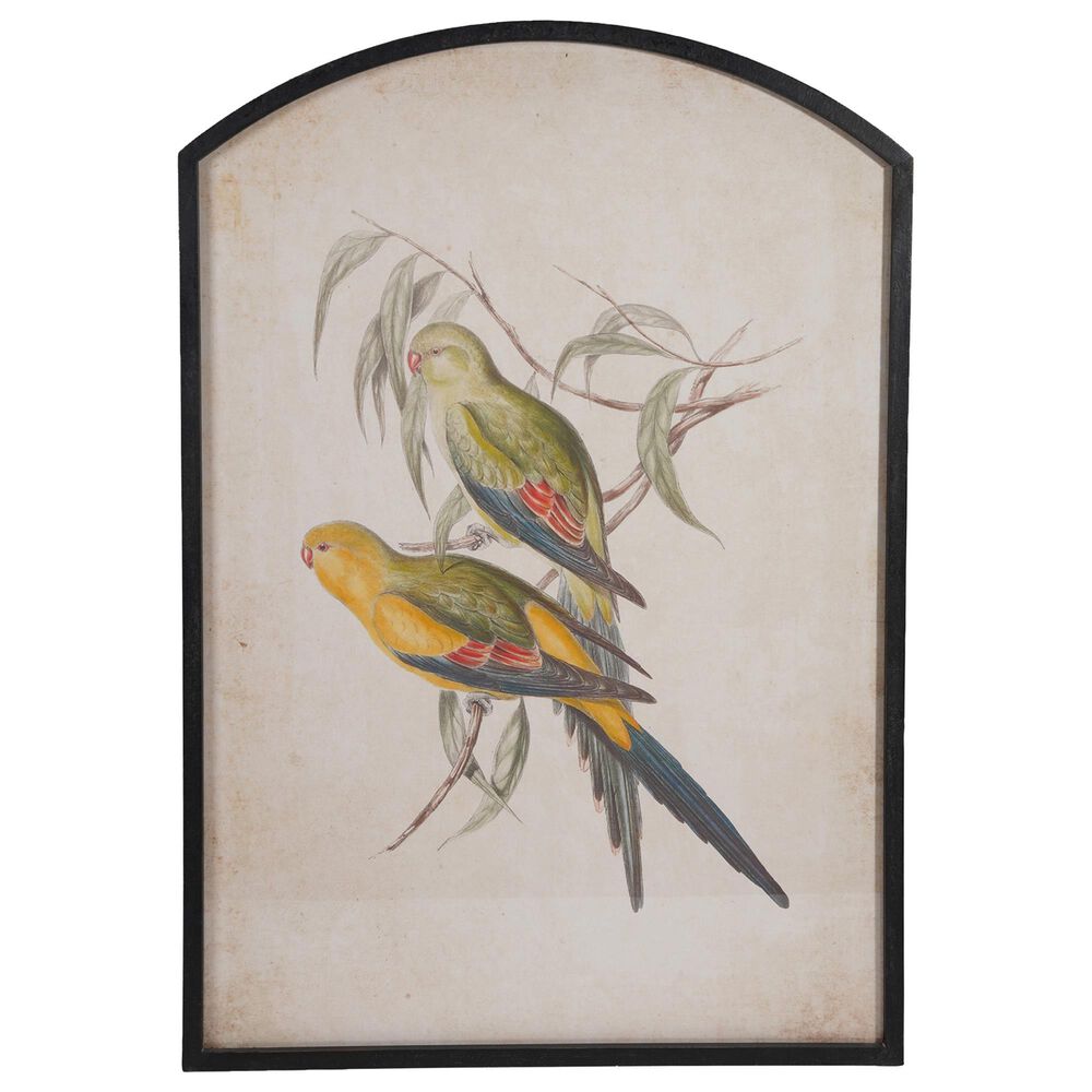 Creative Coop Clementine 30" x 42" Bird Arched Framed Wall Decor in Multicolor, , large