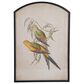 Creative Coop Clementine 30" x 42" Bird Arched Framed Wall Decor in Multicolor, , large