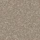 Shaw Awaken Spirit II 12" Carpet in Neutral Ground, , large