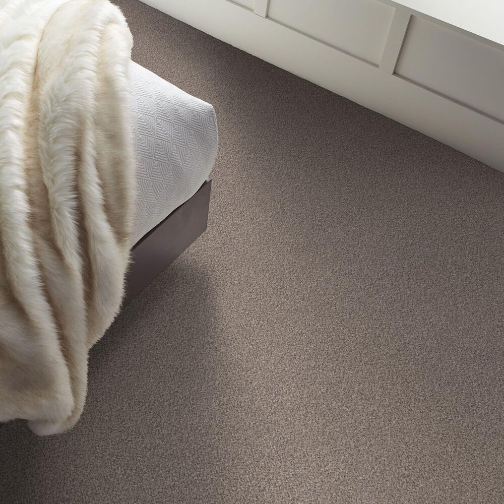 Shaw Truspirit Ii Carpet in Concrete, , large