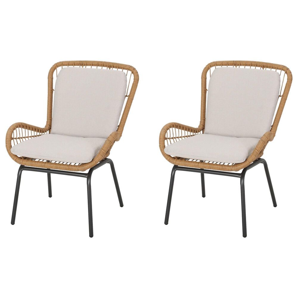 Hearth and Haven McCaskillOutdoor Rattan Club Chair with Iron Frame in Gray (Set of 2), , large