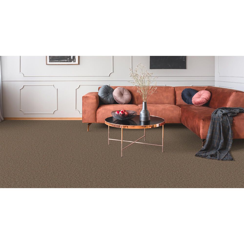 Dixie Home Winding Creek Premier Carpet in Teakwood, , large