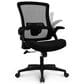 HOMLUX Swivel Ergonomic Office Chair with Headrest Lumbar Support in Black, , large