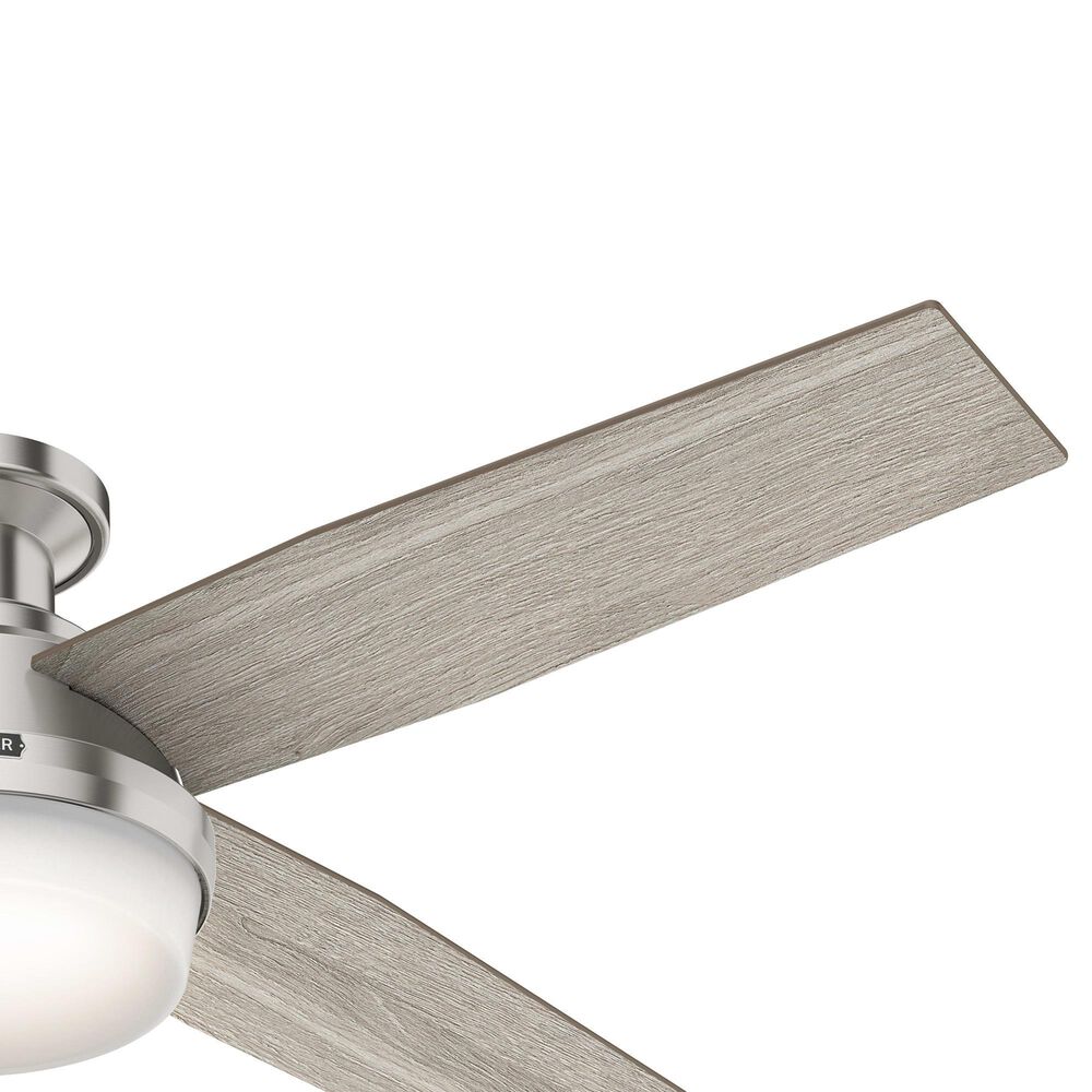 Hunter Dempsey Low Profile 52&quot; Ceiling Fan with Light Gray Oak Blades in Brushed Nickel, , large