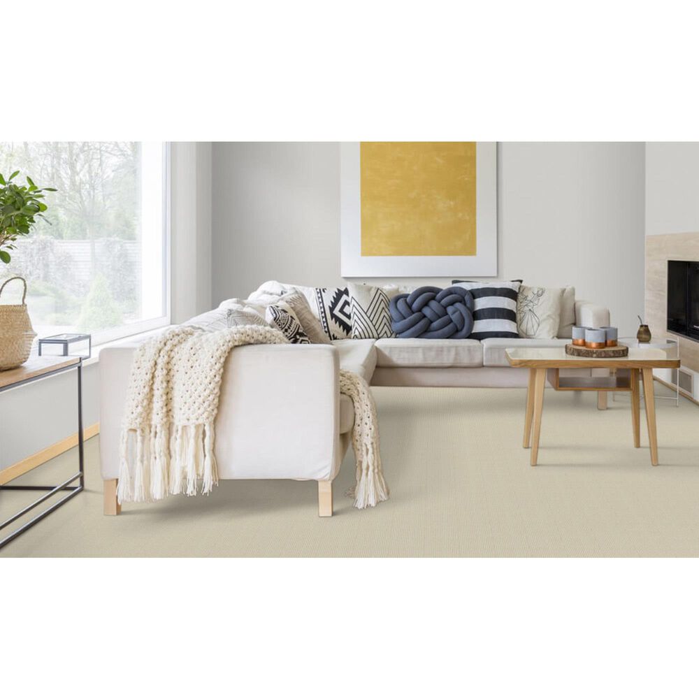 Dixie Home Oak Glen Carpet in Finch, , large