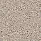 Shaw Wonderland III 15" Carpet in Outer Banks, , large