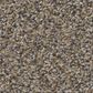 Shaw Always Right II Carpet in Woodcraft, , large