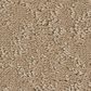 Shaw Clever Choice Carpet in Worn Path, , large
