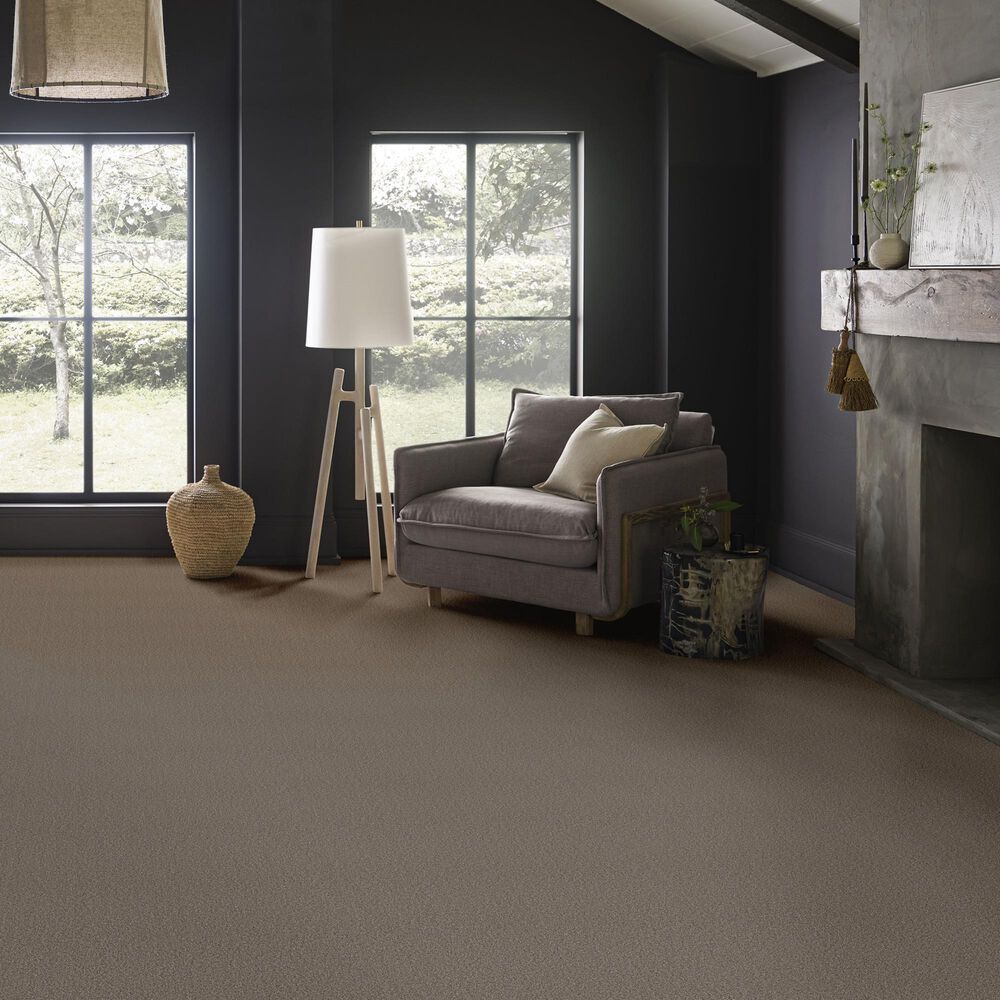 Anderson Tuftex Wyndham Estate Carpet in Ottertail, , large