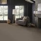 Anderson Tuftex Wyndham Estate Carpet in Ottertail, , large