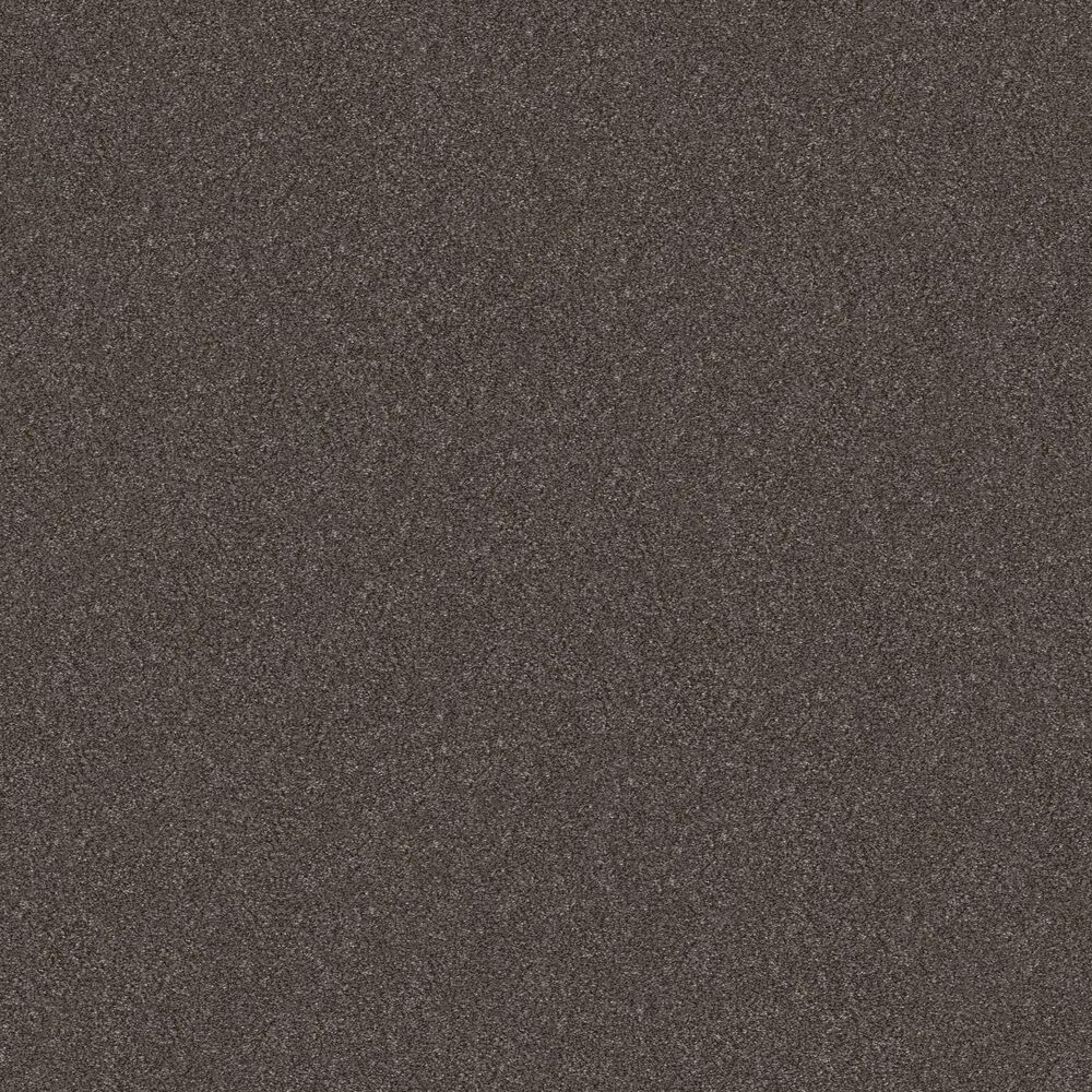 Shaw Without Limits II Carpet in Derby, , large