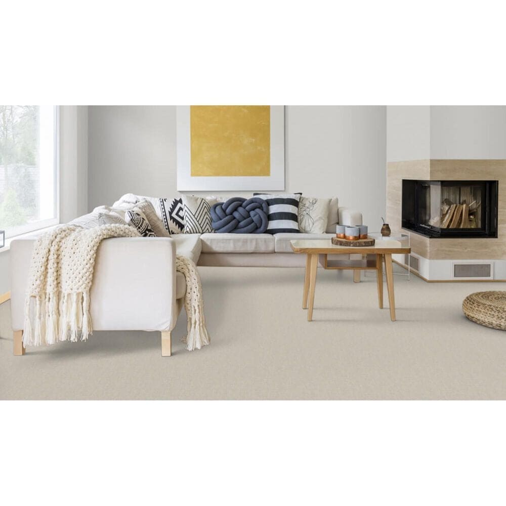 Dixie Home Crystal Oasis Carpet in Beach Pebble, , large