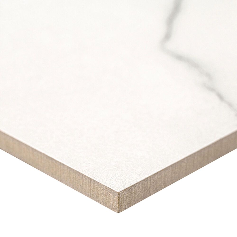 MS International Brighton Grey 12" x 24" Matte Porcelain Tile, , large