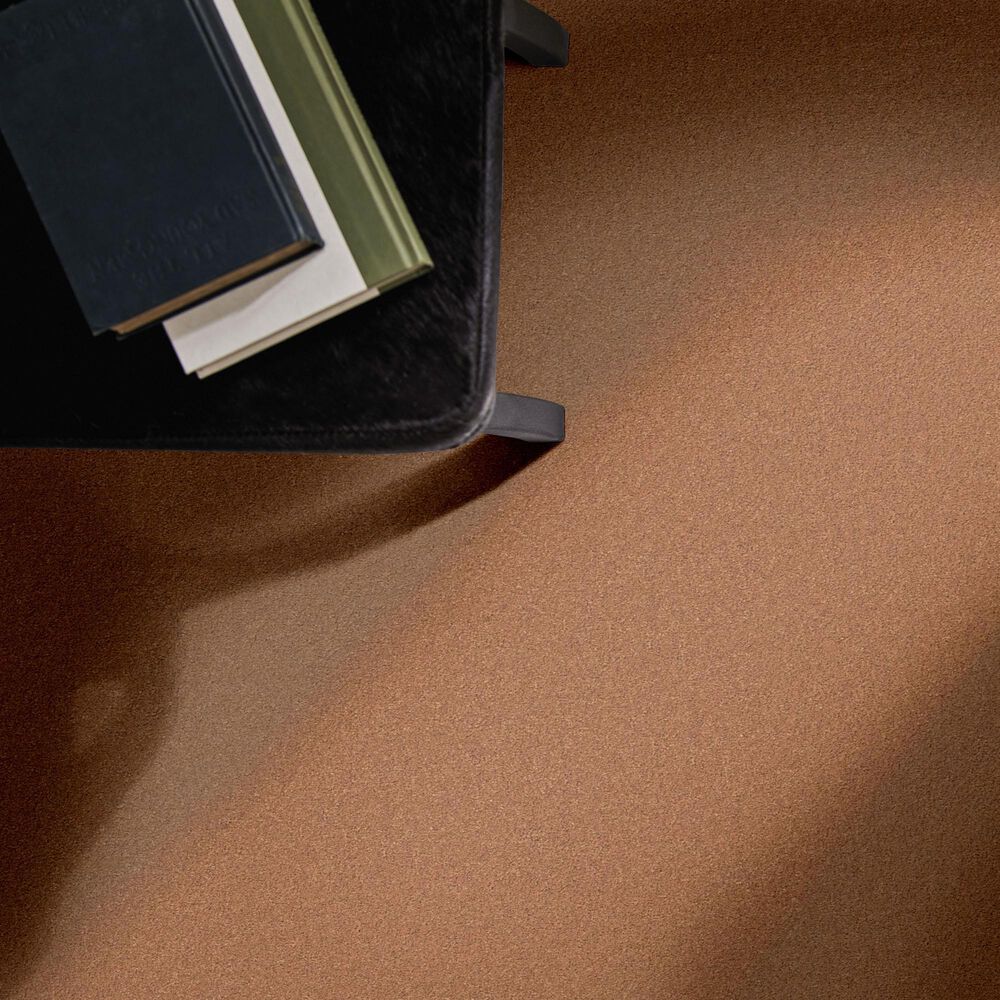 Anderson Tuftex Finery Carpet in Camel, , large