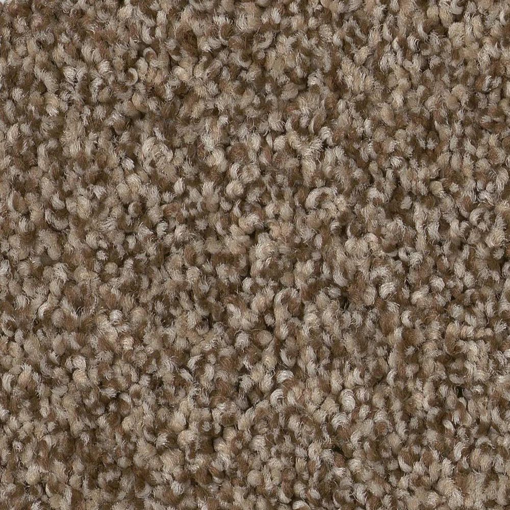 Anderson Tuftex Terra Nova Carpet in Joshua Tree, , large
