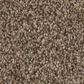 Anderson Tuftex Terra Nova Carpet in Joshua Tree, , large