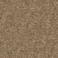 Anderson Tuftex Elegant Beauty Carpet in Prairie, , large