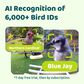 Birdfy Bird Feeder Ebony with Smart Camera and Solar Panel in Brown and Black, , large