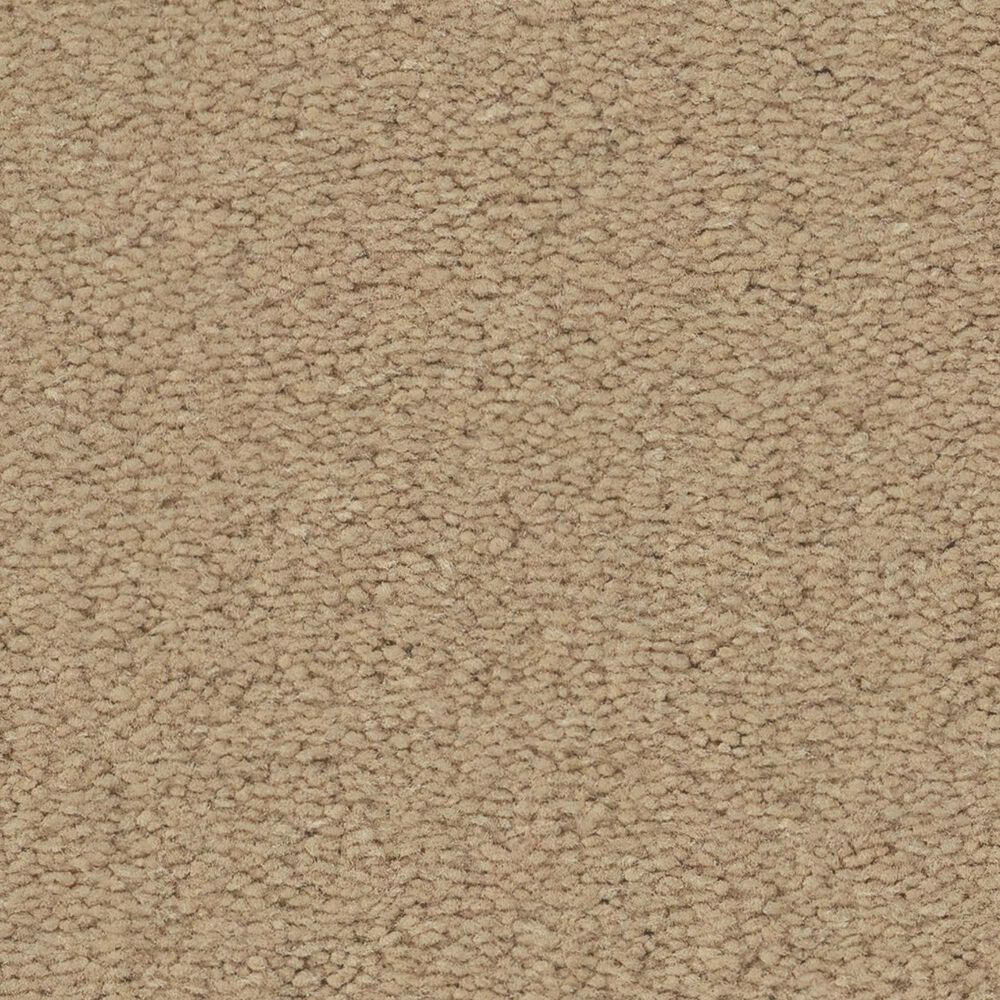 Anderson Tuftex Finery Carpet in Burlap, , large