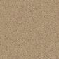 Anderson Tuftex Finery Carpet in Burlap, , large