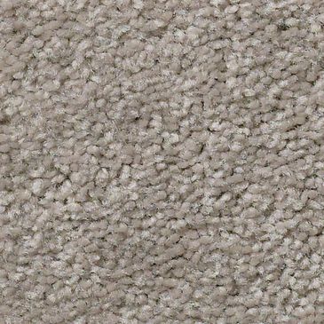 Philadelphia Simply the Best Cabana Life Solid Carpet in Perfect Taupe, , large