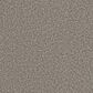 Dream Weaver Out of This World III Carpet in Meteor, , large