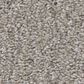 Shaw Always Right II Carpet in Sterling, , large
