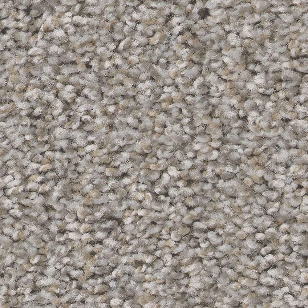 Shaw Always Right II Carpet in Sterling, , large