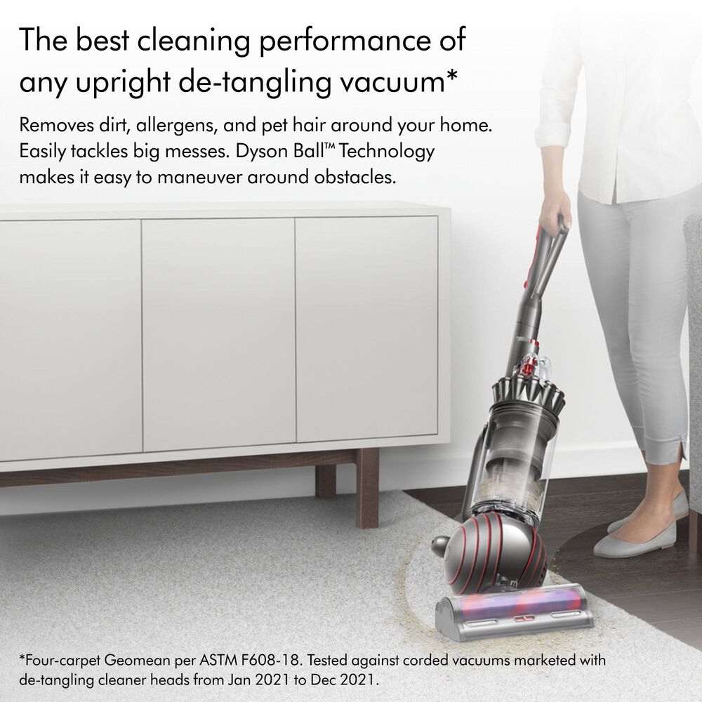 Dyson Ball Animal 3 Upright Vacuum In Nickel/Silver, , large