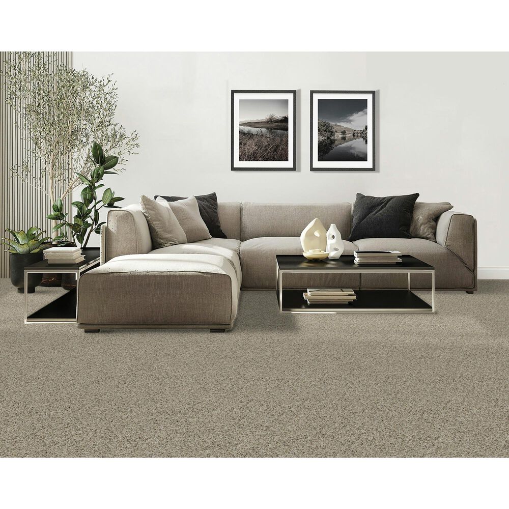 Mohawk Raise The Woof I Carpet in Oyster, , large