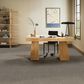 Philadelphia Delicate Feel II Carpet in Hideaway, , large