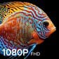 Element 32" Class 1080P FHD Portable in Black - Smart Google TV, , large