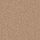 Anderson Tuftex Finery Carpet in Baked Beige, , large