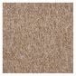 Shaw Sound Advice 24" x 24" Carpet Tile in Encourage, , large