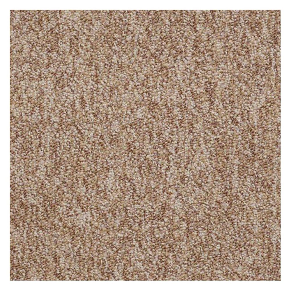 Shaw Sound Advice 24" x 24" Carpet Tile in Encourage, , large