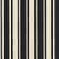 Masland Cabana Carpet in Black, , large