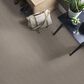 Shaw Naturalistic Carpet in River Run, , large