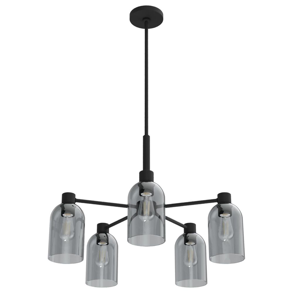 Hunter Lochmeade 5-Light Chandelier in Natural Iron, , large