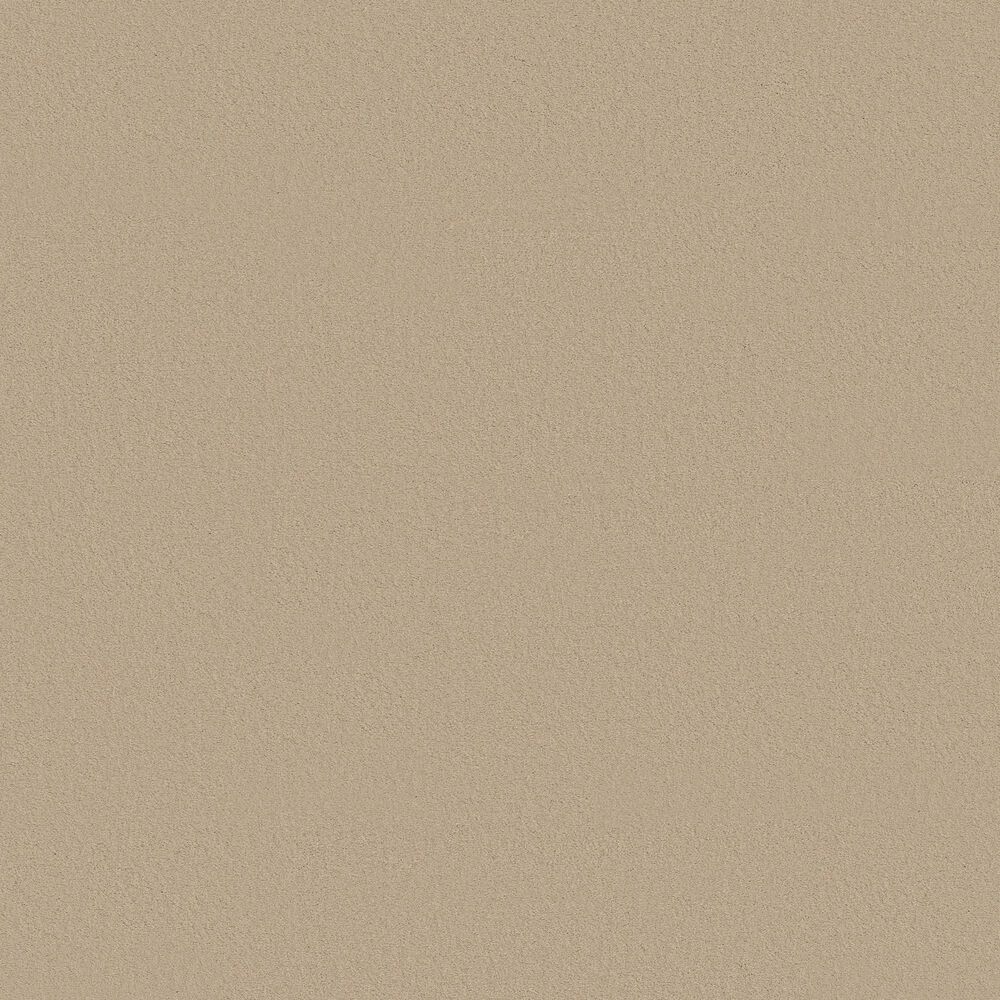 Anderson Tuftex Finery Carpet in Ecru, , large