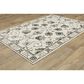 Oriental Weavers Raylan RAY03 3"3" x 5" Ivory Area Rug, , large