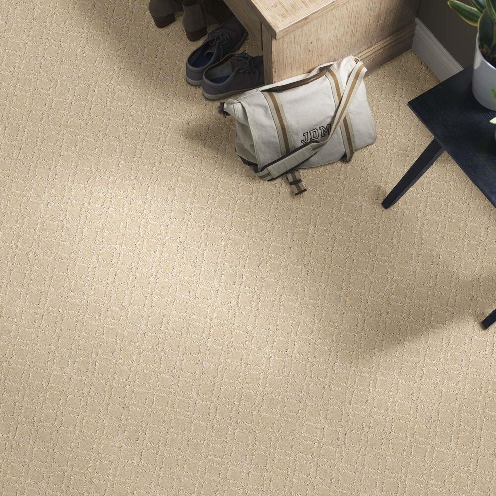 Anderson Tuftex Renoir Carpet in Bungalow, , large