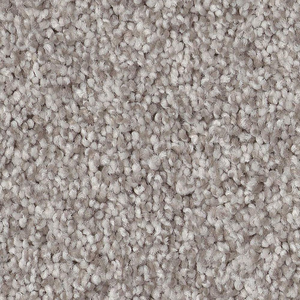 Anderson Tuftex Terra Nova Carpet in Platinum, , large